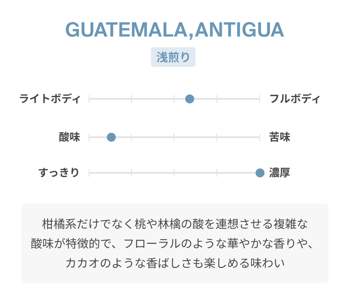 GUATEMALA Antigua ドリップバッグ